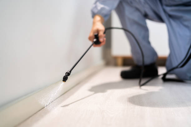 Licensed Termite Control service in Albert Lea, MN - Nex Pest Control