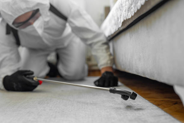 Professional Termite Control technician working in Albert Lea, MN