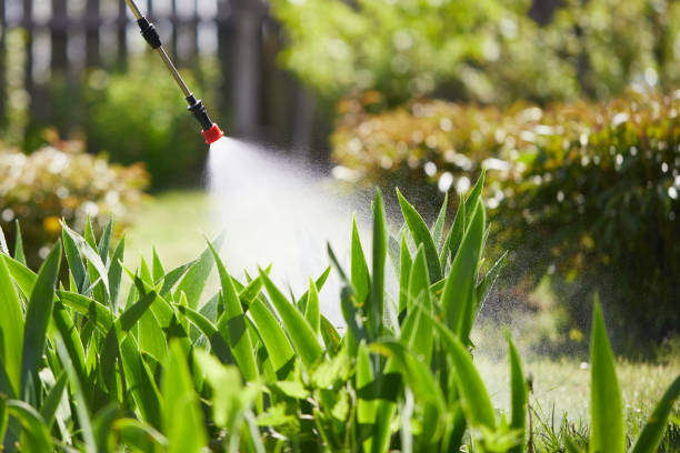 24/7 Emergency Termite Control experts in Albert Lea, MN
