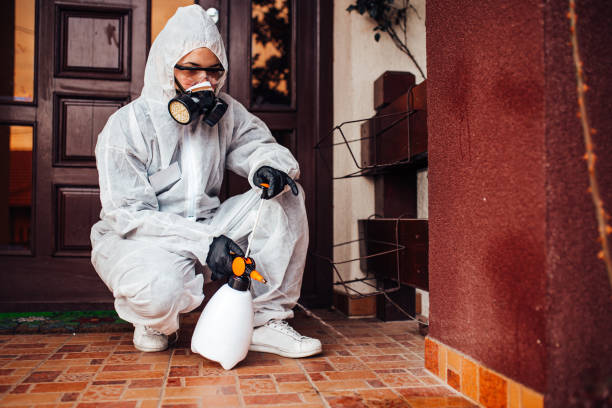 Reliable Termite Control contractor in Albert Lea, MN by Nex Pest Control